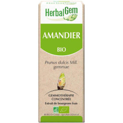 Amandier bourgeon Bio - Prunus amygdalus Macérat - 30 ml - Herbalgem - Gemmothérapie - 2