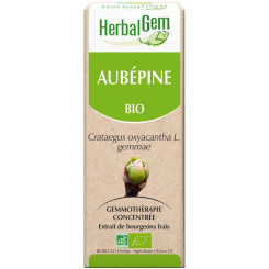 Aubépine bourgeon Bio - Crataegus oxyacantha Macérat - Spray 15 ml - Herbalgem - Gemmothérapie - 2