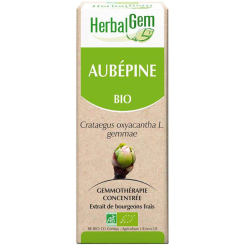 Aubépine bourgeon Bio - Crataegus oxyacantha Macérat - 50 ml - Herbalgem - Gemmothérapie - 2