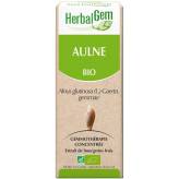 Aulne glutineux bourgeon Bio - Alnus glutinosa Macérat - 50 ml - Herbalgem - 1 - Herboristerie du Valmont
