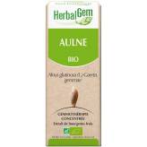 Aulne glutineux bourgeon Bio - Alnus glutinosa Macérat - 50 ml - Herbalgem - Gemmothérapie - 2