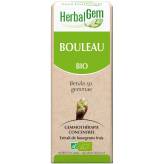 Bouleau bourgeon Bio - Betula pendula Macérat - 30 ml - Herbalgem - Gemmothérapie - 2