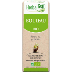 Bouleau bourgeon Bio - Betula alba Macérat - 50 ml - Herbalgem - Gemmothérapie - 2