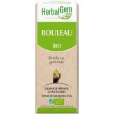 Bouleau bourgeon Bio - Betula alba Macérat - 15 ml - Herbalgem - <p>Betula - Macérat glycériné - Le bourgeon de la souplesse.</p