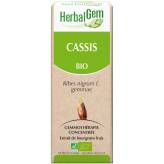 Cassis bourgeon 50 ml Bio - Herbalgem