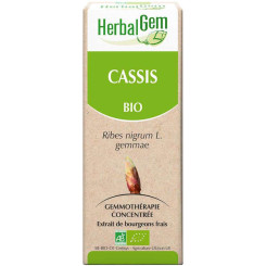 Cassis bourgeon Bio - Ribes nigrum macérat - 30 ml - Herbalgem - Gemmothérapie - 2