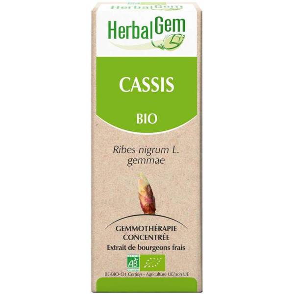 Cassis bourgeon Bio -  Ribes nigrum Macérat - 15 ml - Herbalgem - 1 - Herboristerie du Valmont