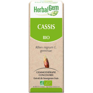 Cassis bourgeon Bio - Ribes nigrum Macérat - 15 ml - Herbalgem - 1 - Herboristerie du Valmont Cassis bourgeon Bio - Ribes nigrum Macérat - 15 ml - Herbalgem - 1 - Herboristerie du Valmont