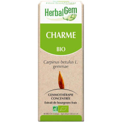 Charme bourgeon Bio - carpinus betulus Macérat - 50 ml - Herbalgem - Gemmothérapie - 2