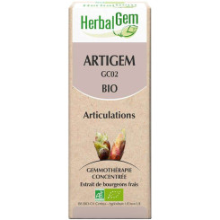 Artigem - Articulations - 30 ml Bio - Herbalgem - GC02 - Gemmothérapie - 2