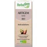 Artigem - Articulations - 15 ml Bio Herbalgem - GC02 - <p>Pin - Vigne - Bouleau - Cassis - Macérat glycériné - Articulations.</p