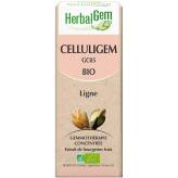 Celluligem - Minceur et cellulite - 50 ml Bio - Herbalgem - GC05 - <p>Châtaignier - Frêne - noisetier - Macérat glycériné - Cell