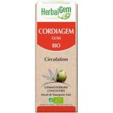 Cordiagem - Coeur - 50 ml Bio - Herbalgem - GC04 - <p>Synergie de bourgeons de gui, d'aubépine et d'ail es ours - Tension - Circ