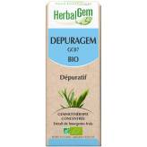 Dépuragem - Detox - 30 ml Bio Herbalgem - GC07 - Gemmothérapie - 2