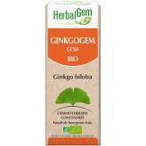 Ginkgogem - Circulation - 50 ml Bio - Herbalgem - GC08 - <p>Ginkgo biloba complexe - Concentration.</p>
<p><a href="/s/449/ginkg
