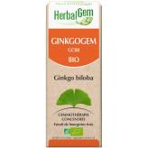 Ginkgogem - Circulation - 30 ml Bio - Herbalgem - GC08 - Gemmothérapie - 2