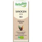 Sanogem - Défense - 50 ml Bio - Herbalgem - GC18 - Gemmothérapie - 2