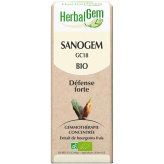 Sanogem 50 ml Bio - Herbalgem - GC18 - Gemmothérapie - 2