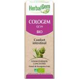 Cologem - Confort des instestins - 15 ml Bio - Herbalgem - GC19 - Gemmothérapie - 2