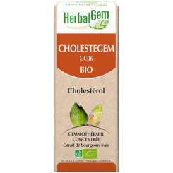Cholestégem - Cholestérol - 50 ml Bio - Herbalgem - GC06 - Gemmothérapie - 2