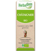Bio Kastanienknospen - Castanae sativa Mazerat - 50 ml - Herbalgem - Gemmotherapie - 2