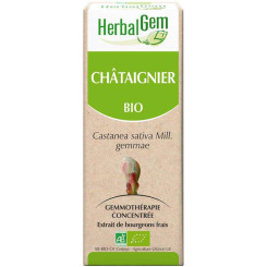 Chataignier bourgeon Bio - Castanae sativa Macérat - 50 ml - Herbalgem - Gemmothérapie - 2