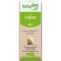 Chêne bourgeon Bio - Quercus robur Macérat - 30 ml - Herbalgem - Gemmothérapie - 2