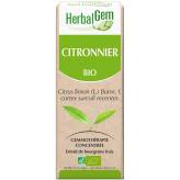 Citronnier bourgeon Bio - Citrus limonum Macérat - 30 ml - Herbalgem - Gemmothérapie - 2