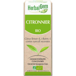 Citronnier bourgeon Bio - Citrus limonum Macérat - 50 ml - Herbalgem - Gemmothérapie - 2