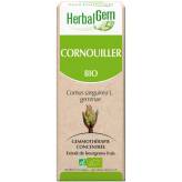 Cornouiller bourgeon Bio - Cornus sanguinea Macérat - 50 ml - Herbalgem - 1 - Herboristerie du Valmont