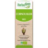 Cornouiller bourgeon Bio - Cornus sanguinea Macérat - 30 ml - Herbalgem - Gemmothérapie - 2