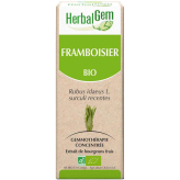 Framboisier bourgeon Bio - Rubus idaeus Macérat - 50 ml Bio - Herbalgem - Gemmothérapie - 2
