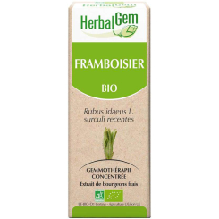 Framboisier bourgeon Bio - Rubus idaeus Macérat - 50 ml Bio - Herbalgem - Gemmothérapie - 2