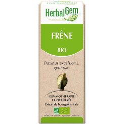 Frêne bourgeon 50 ml Bio - Fraxinus excelsior Macérat - Herbalgem - Gemmothérapie - 2