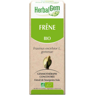 Frêne bourgeon 15 ml Bio - Fraxinus excelsior Macérat - Herbalgem - 1 - Herboristerie du Valmont Frêne bourgeon 15 ml Bio - Fraxinus excelsior Macérat - Herbalgem - 1 - Herboristerie du Valmont