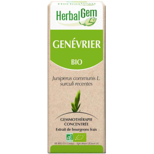 Genevrier bourgeon Bio - Juniperus communis Macérat - 50 ml - Herbalgem - 1 - Herboristerie du Valmont Genevrier bourgeon Bio - Juniperus communis Macérat - 50 ml - Herbalgem - 1 - Herboristerie du Valmont