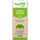 Ginkgo biloba 50 ml Bio - Herbalgem - Les bourgeons unitaires - 2