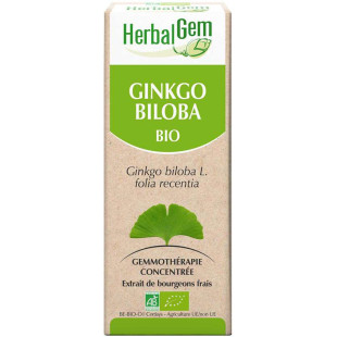 Ginkgo biloba 50 ml Bio - Herbalgem - 1 - Herboristerie du Valmont