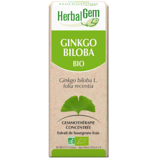 Ginkgo biloba 50 ml Bio - Herbalgem - 1 - Herboristerie du Valmont Ginkgo biloba 50 ml Bio - Herbalgem - 1 - Herboristerie du Valmont