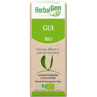 Gui bourgeon Bio - Viscum album Macérat - 15 ml - Herbalgem - 1 - Herboristerie du Valmont Gui bourgeon Bio - Viscum album Macérat - 15 ml - Herbalgem - 1 - Herboristerie du Valmont