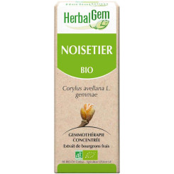 Noisetier  Bourgeons Bio - Corylus avellana Macérat - 30 ml - Herbalgem - Gemmothérapie - 2