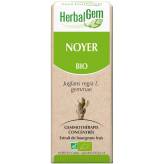 Noyer bourgeon Bio 15 ml - Herbalgem 