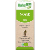 Bio Walnussknospen - Juglans regia Mazerat - 50 ml - Herbalgem - Gemmotherapie - 2
