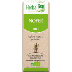 Noyer bourgeon Bio - Juglans regia Macérat - 50 ml - Herbalgem - Gemmothérapie - 2