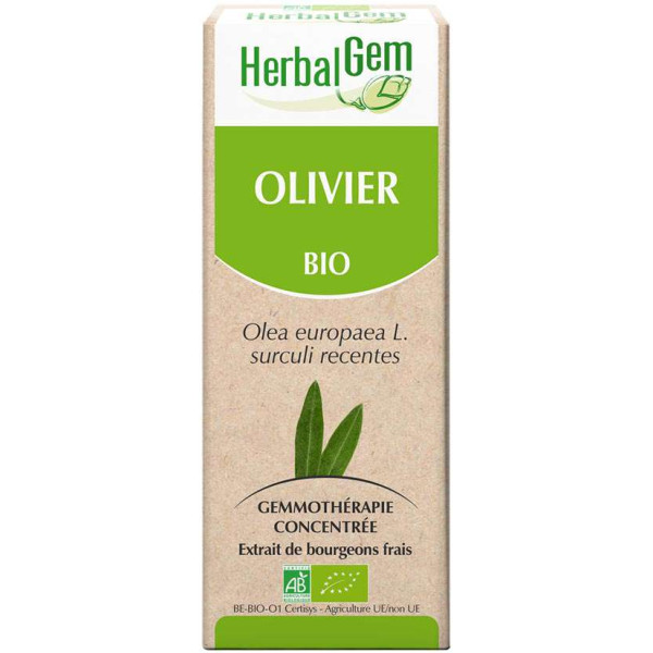 Olivier bourgeon 15 ml Bio - Herbalgem 