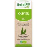 Olivier bourgeon Bio - Olea europaea Macérat - 50 ml Herbalgem - <p>Olea europaea - Macérat glycériné - Mémoire - Cholestérol.</