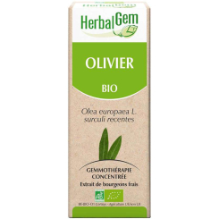 Olivier bourgeon Bio - Olea europaea Macérat - 50 ml Herbalgem - Gemmothérapie - 2
