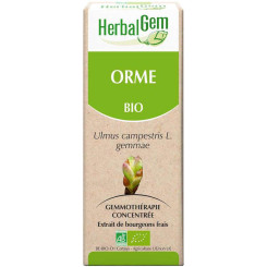 Orme bourgeon 50 ml Bio - Herbalgem - Gemmothérapie - 2