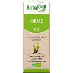 Ulmenknospe 50 ml Bio - Herbalgem - Gemmotherapie - 2