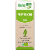 Pervenche bourgeon Bio - Vinca minor Macérat - 50 ml Bio - Herbalgem - Gemmothérapie - 2